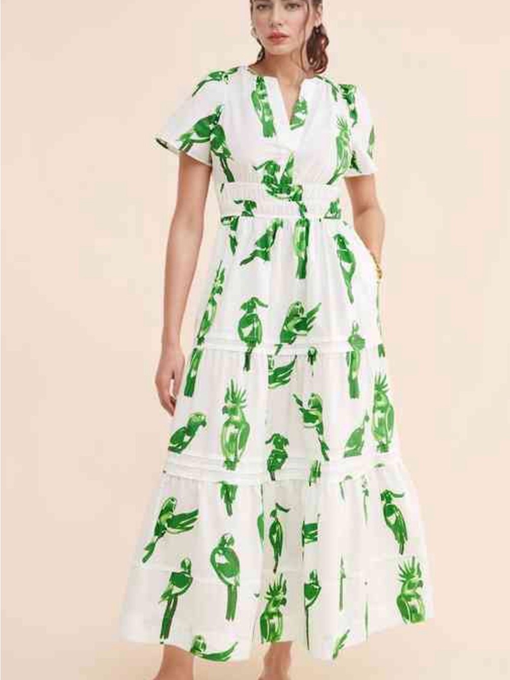 Anthropologie somerset maxi nwot 2x